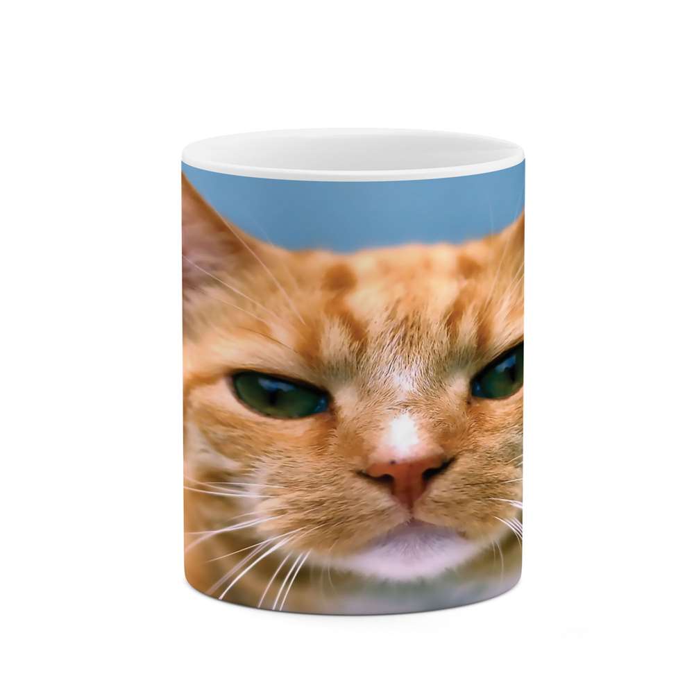 ماگ طرح گربه مدل mgs05451