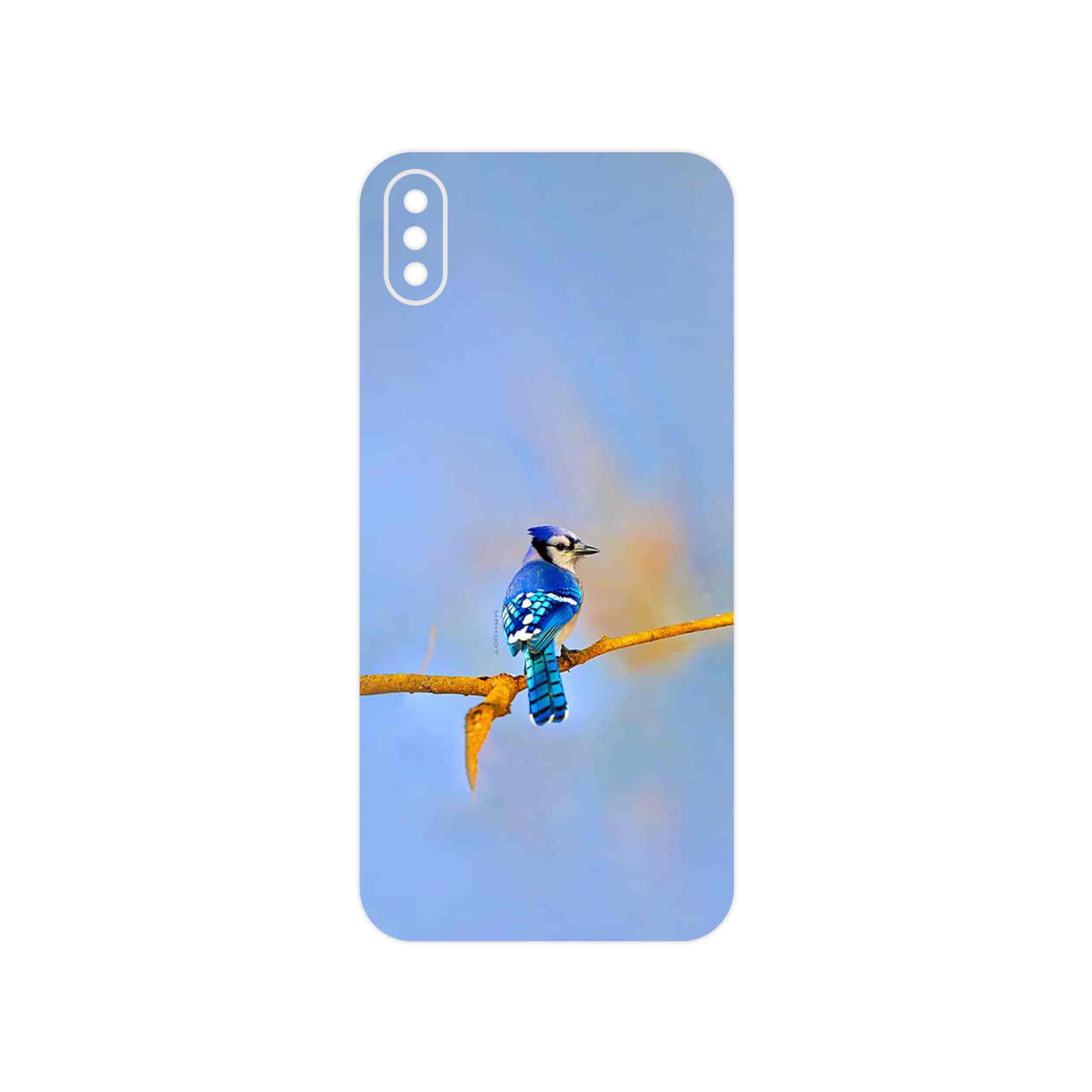 برچسب پوششی ماهوت مدل Cyanocitta cristata مناسب برای گوشی موبایل داکس Botlex 2