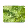 برچسب پوششی ماهوت مدل Green Crystal Marble مناسب برای تبلت اپل iPad 2 2011 A1396