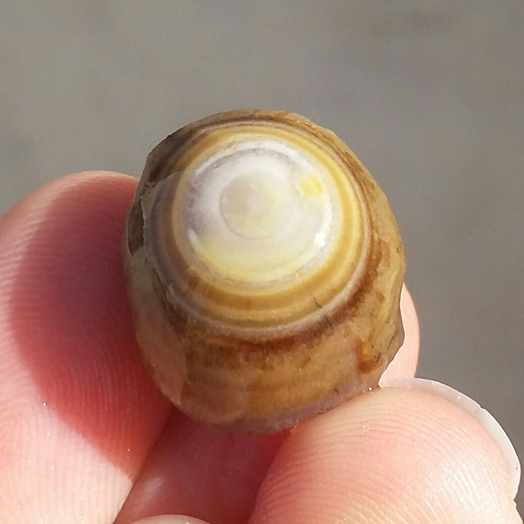 سنگ راف خام حبه عقیق باباقوری تک چشم مصور موکول دار رحمانی بسیار قوی برش نخورده 100 در 100 طبیعی شاهکار خلقت کد 11077