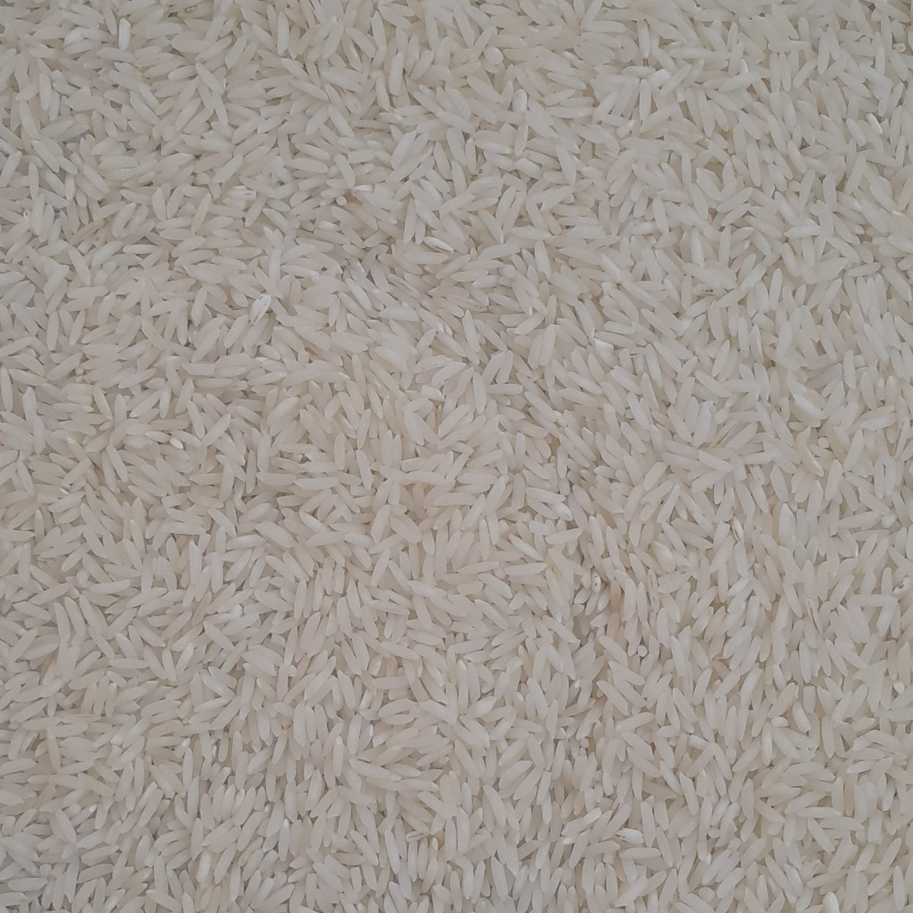 برنج  طارم هاشمی اعلاء امساله         (5 کیلو گرم) (پس کرایه)