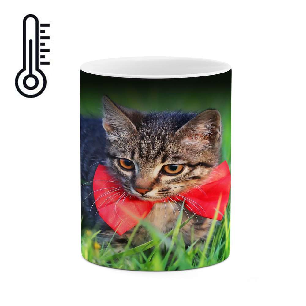 ماگ حرارتی کاکتی طرح گربه مدل mgh16753