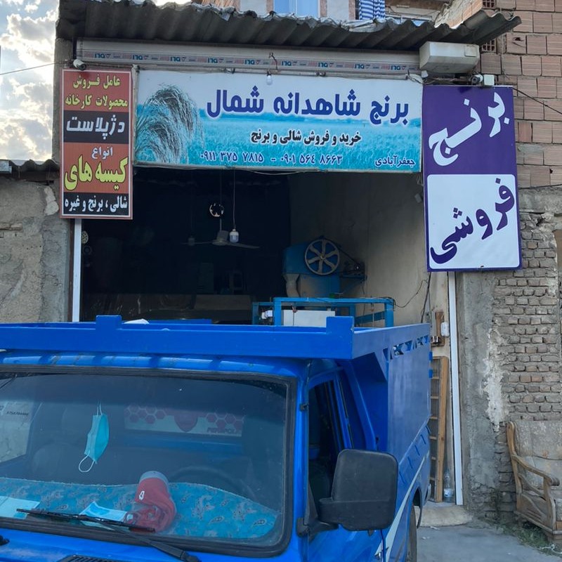 برنج فجر سوزنی سورت شده در کیسه های ده کیلویی