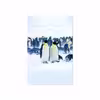 برچسب پوششی ماهوت مدل Penguin مناسب برای تبلت وریکو Unipad