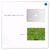 برچسب پوششی ماهوت مدل Leafs مناسب برای تبلت اپل iPad 9.7 (GEN 5) 2017 A1823
