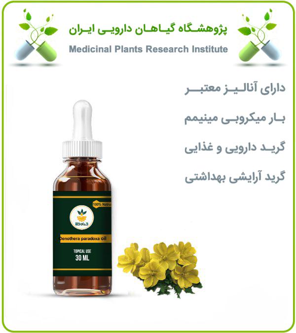 روغن گل مغربی موضعی