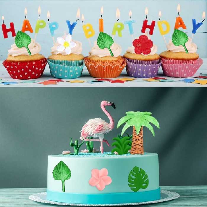 سیلیکون قالب گیری به گز مدل نخل