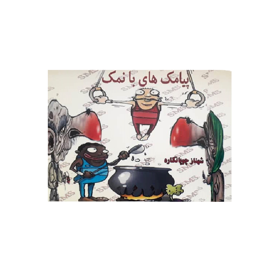 کتاب پیامک های با نمک اثر شهناز چوپانکاره انتشارات راهیان سبز