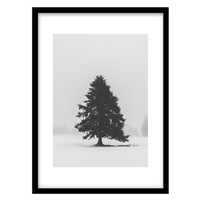 قیمت و خرید تابلو دکوراتیو مدل عکاسی مینیمال درخت کد 0508