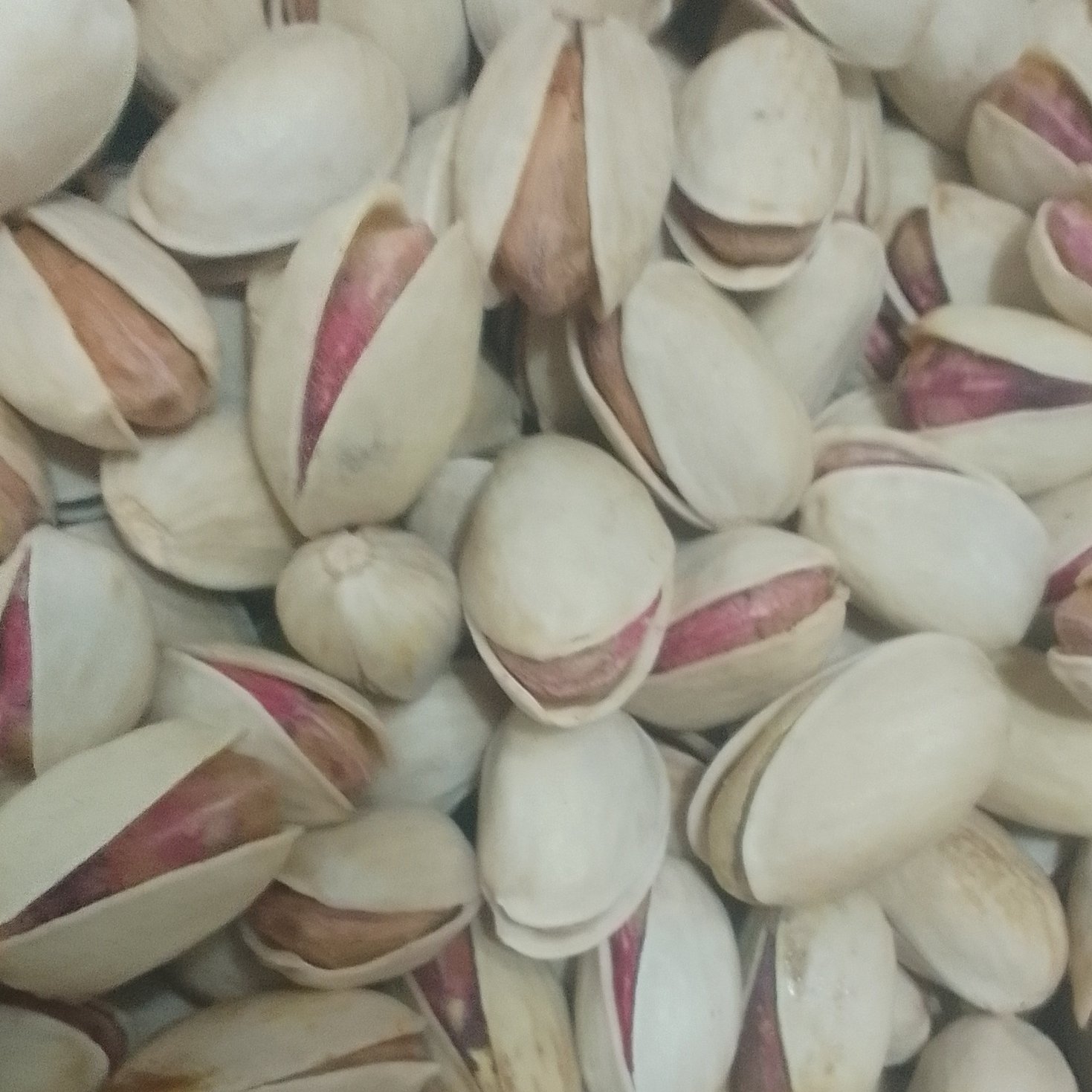 پسته احمدآقایی دستچین خام ( 500 گرم)
