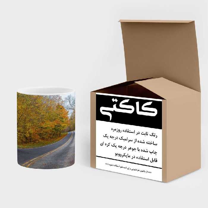 ماگ کاکتی طرح منظره مدل mgs13147