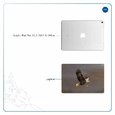 برچسب پوششی ماهوت مدل Eagle مناسب برای تبلت اپل iPad Pro 10.5 2017 A1701