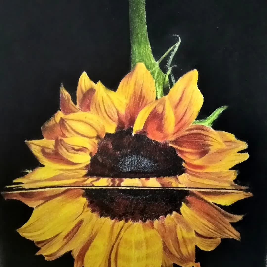نقاشی با مدادرنگی