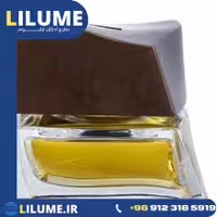 عطر ادکلن بریونی بریونی ادو تویلت 75 میل مردانه