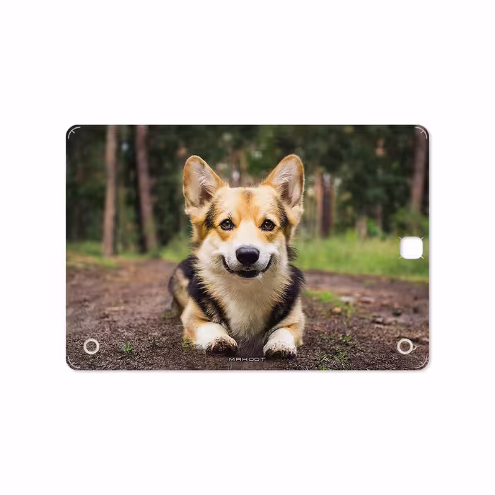 برچسب پوششی ماهوت مدل Dog-2 مناسب برای تبلت سامسونگ Galaxy Tab A 9.7 2015 T550