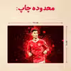 پازل 35 تکه مدل رونالدو کد 24