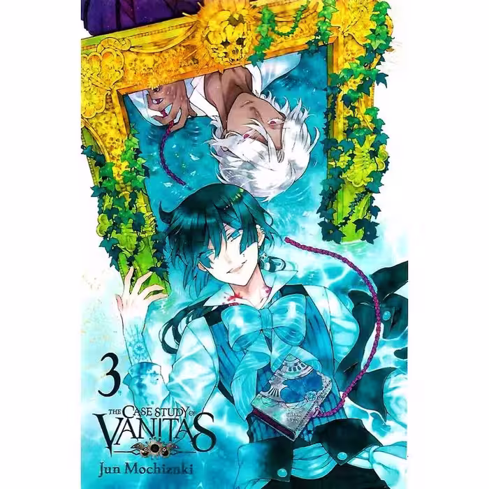 The Case Study Of Vanitas 3
