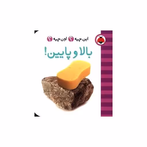 کتاب فرهنگ تصویری این چیه اون چیه (بالا و پایین)(شهر قلم) اثر حسین نیلچیان