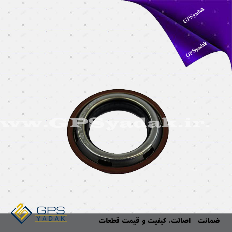 کاسه نمد پلوس چپ کیا اپیروس