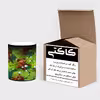 ماگ حرارتی کاکتی طرح انیمیشن Lorax مدل mgh20634