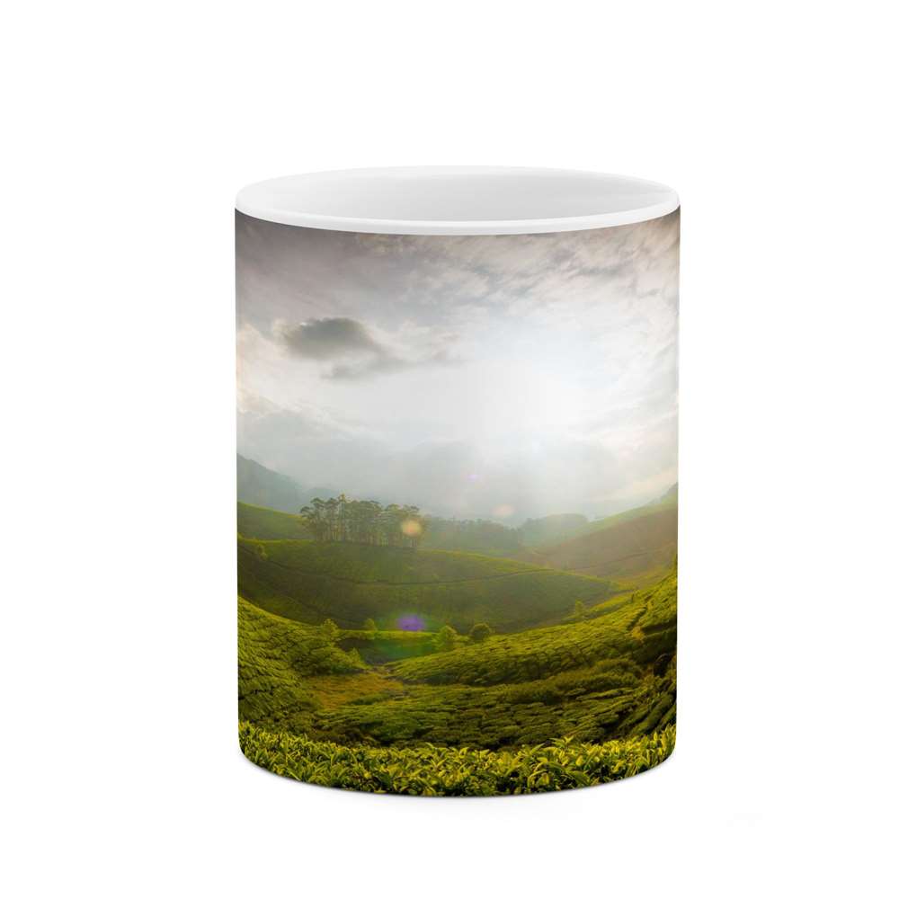 ماگ کاکتی طرح منظره مدل mgs15888