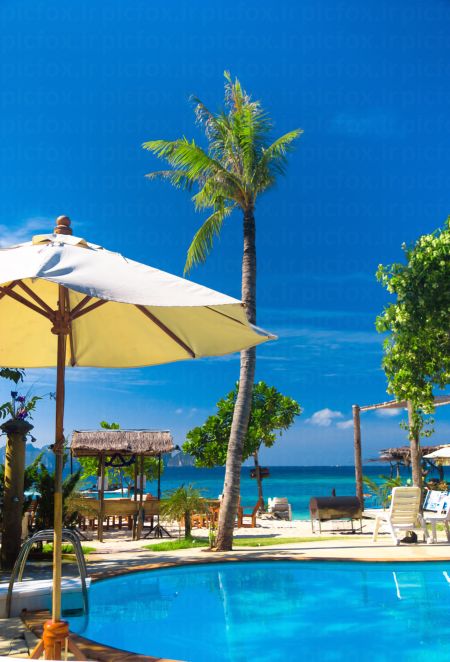 خرید و دانلود عکس Nature-Part-29 کد 36691 | پیک فاکس | Pic Fox