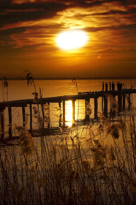 خرید و دانلود عکس Nature-Part-17 کد 35702 | پیک فاکس | Pic Fox