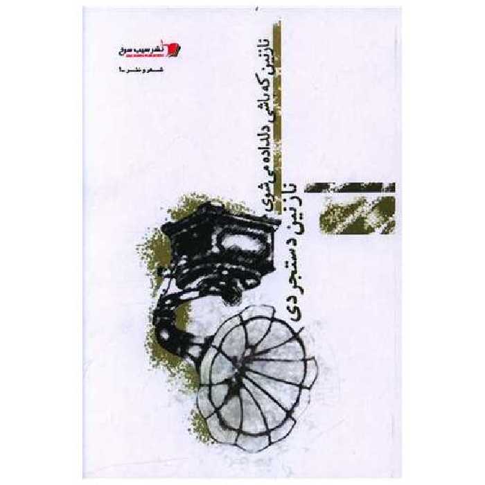 کتاب نازنین که باشی دلداده می شوی اثر نازنین دستجردی