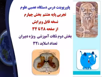 پاورپوینت درس دستگاه عصبی علوم تجربی پایه هشتم  بخش چهارم   نسخه قابل ویرایش