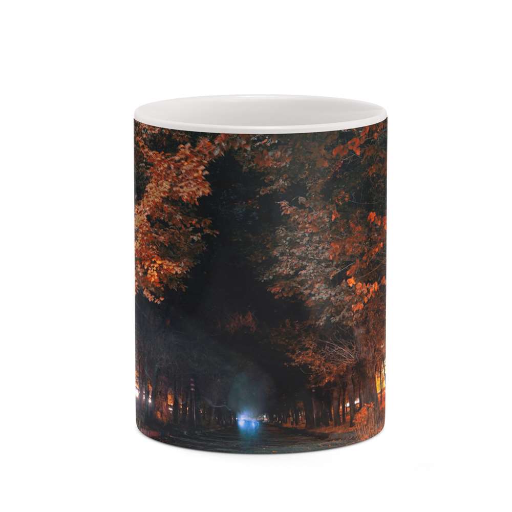 ماگ کاکتی طرح پاییز مدل mgh19313