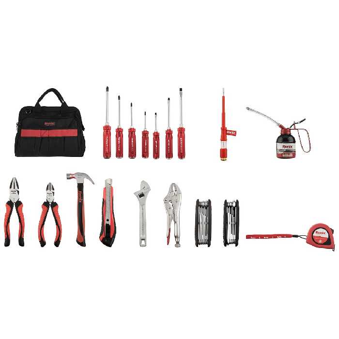 مجموعه ابزار رونیکس مدل RH-9101 ست 19 عددی