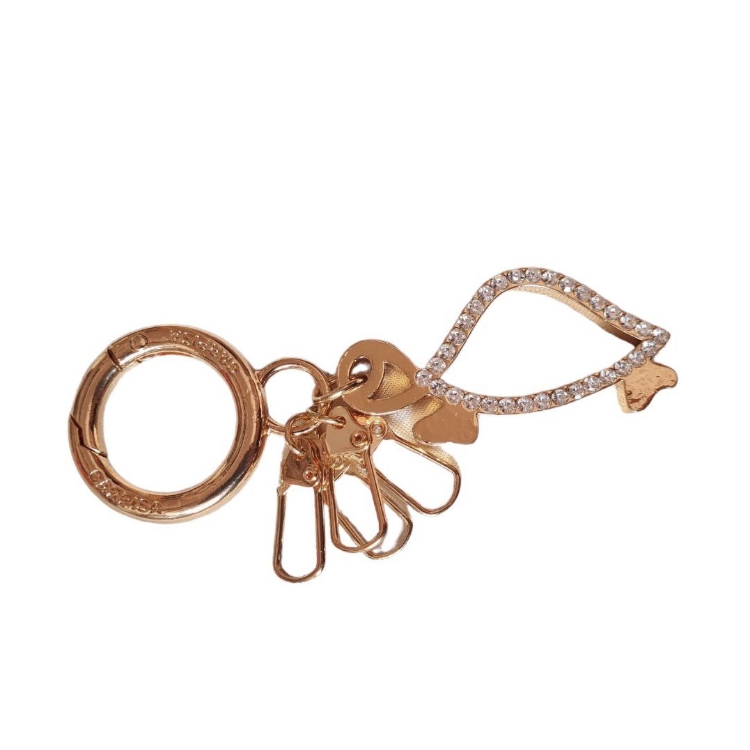 جاکلیدی مدل لاکپشت 