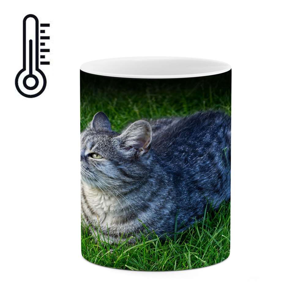 ماگ حرارتی کاکتی طرح گربه مدل mgh14653