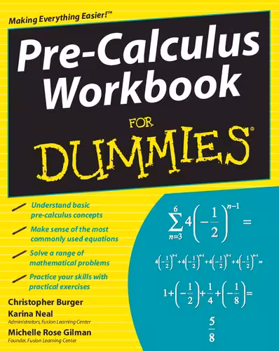 خرید و دانلود نسخه کامل کتاب Pre-Calculus Workbook For Dummies