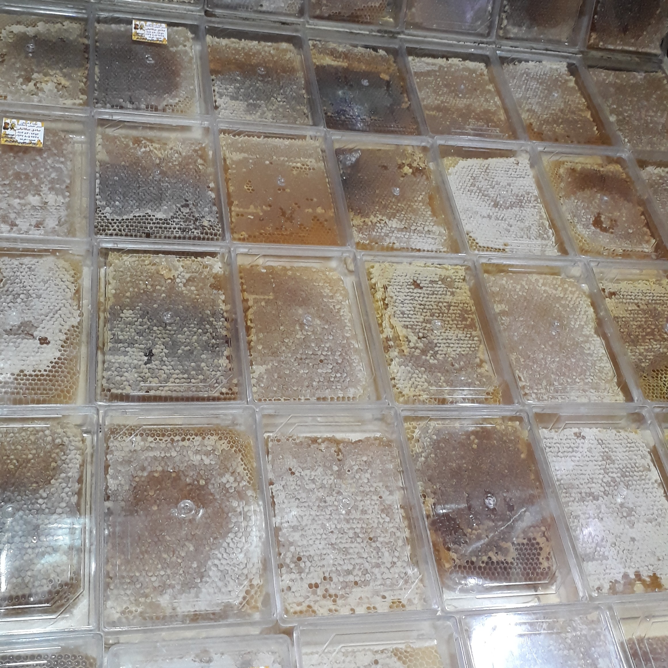 عسل شان باموم اصل طبیعی از انواع گیاهان وحشی از کوهپایه های سهند برداشت امسال.ودر رنگ های مختلف.