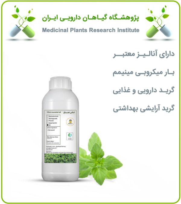 اسانس نعناع دشتی طبیعی