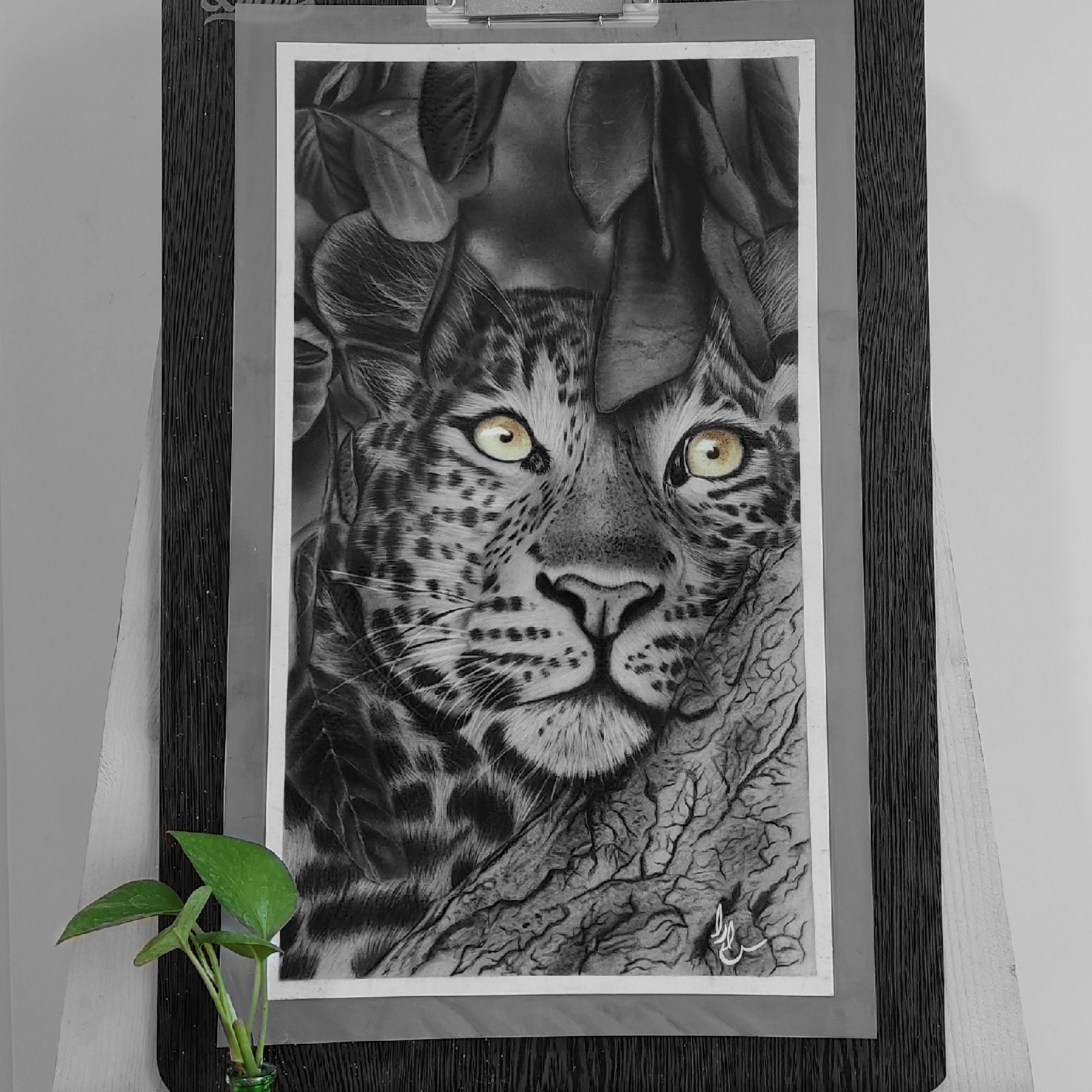 تابلو نقاشی ببر