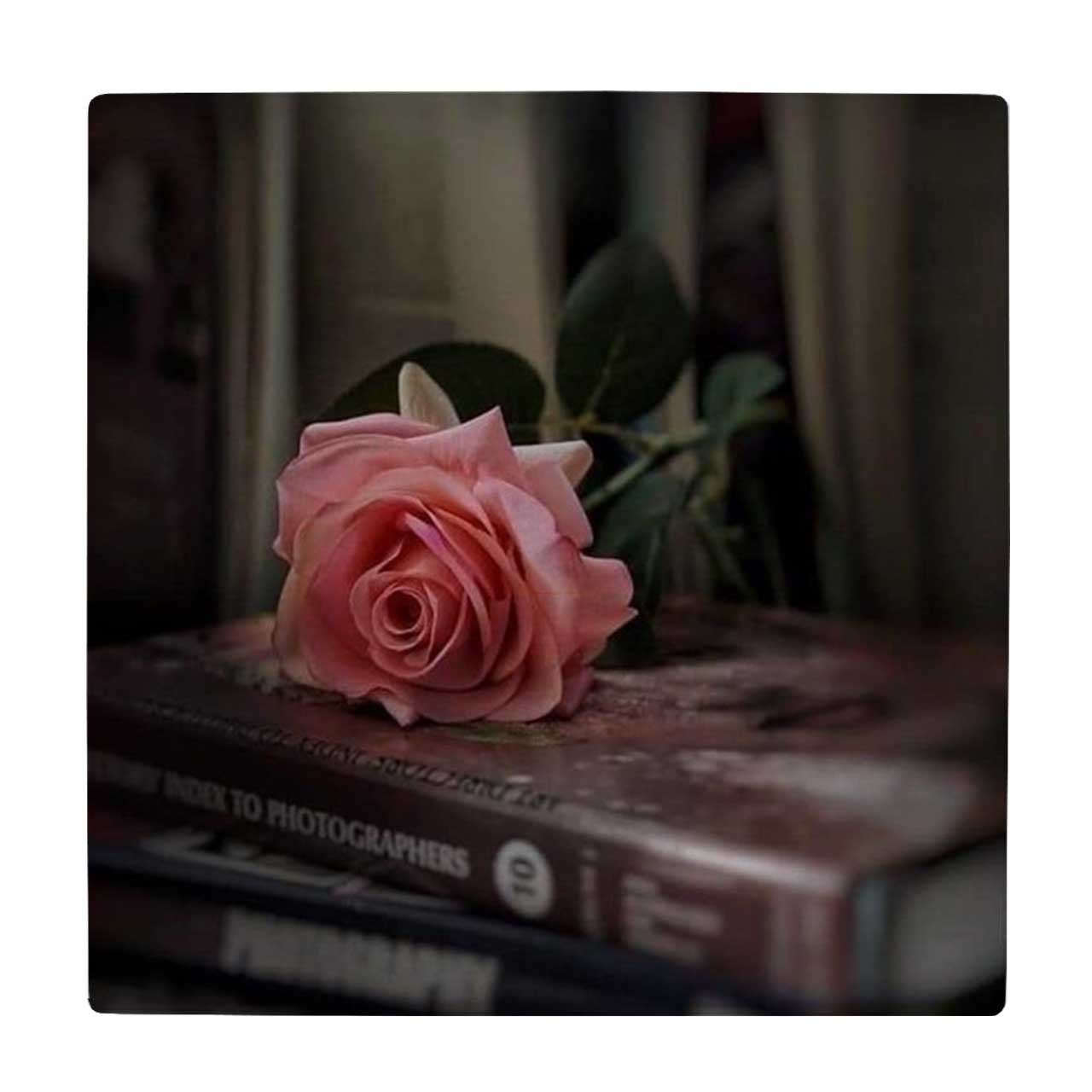 کاشی طرح گل رز و کتاب کد wk3915