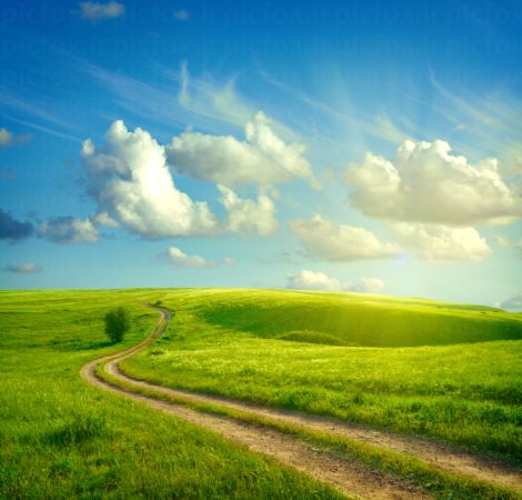 خرید و دانلود عکس Nature-Part-2 کد 36002 | پیک فاکس | Pic Fox