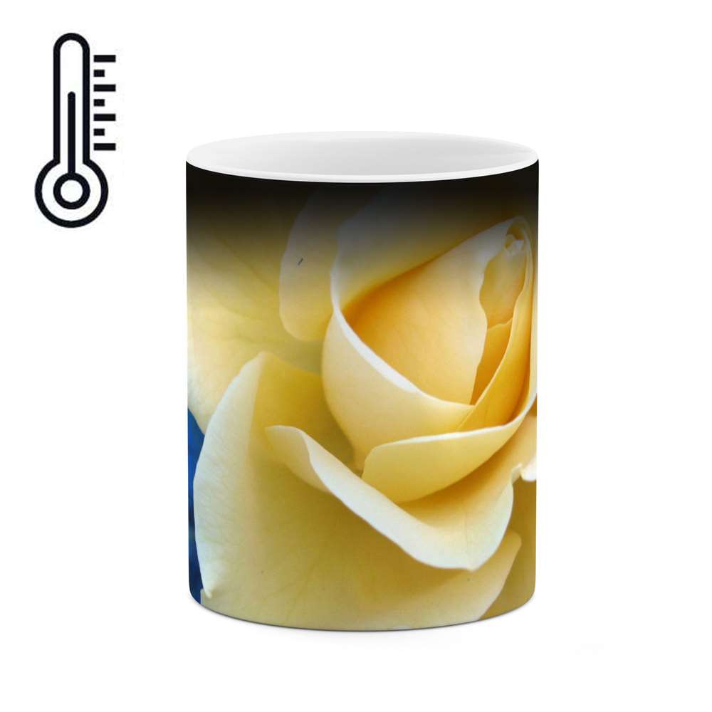 ماگ حرارتی طرح گل رز مدل mgh12090