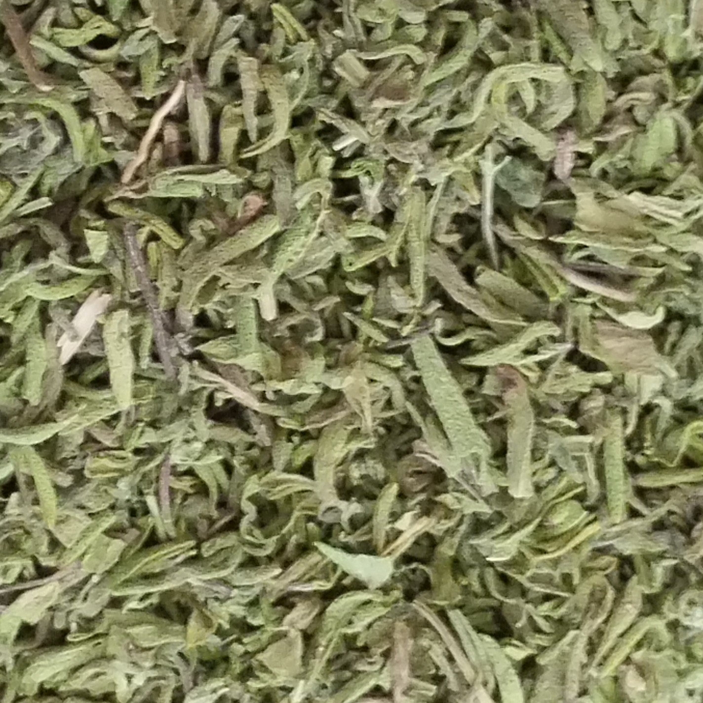 مرزه خشک طبس شسته شده و خشک شده 