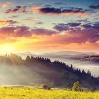 خرید و دانلود عکس Nature-Part-6 کد 37083 | پیک فاکس | Pic Fox