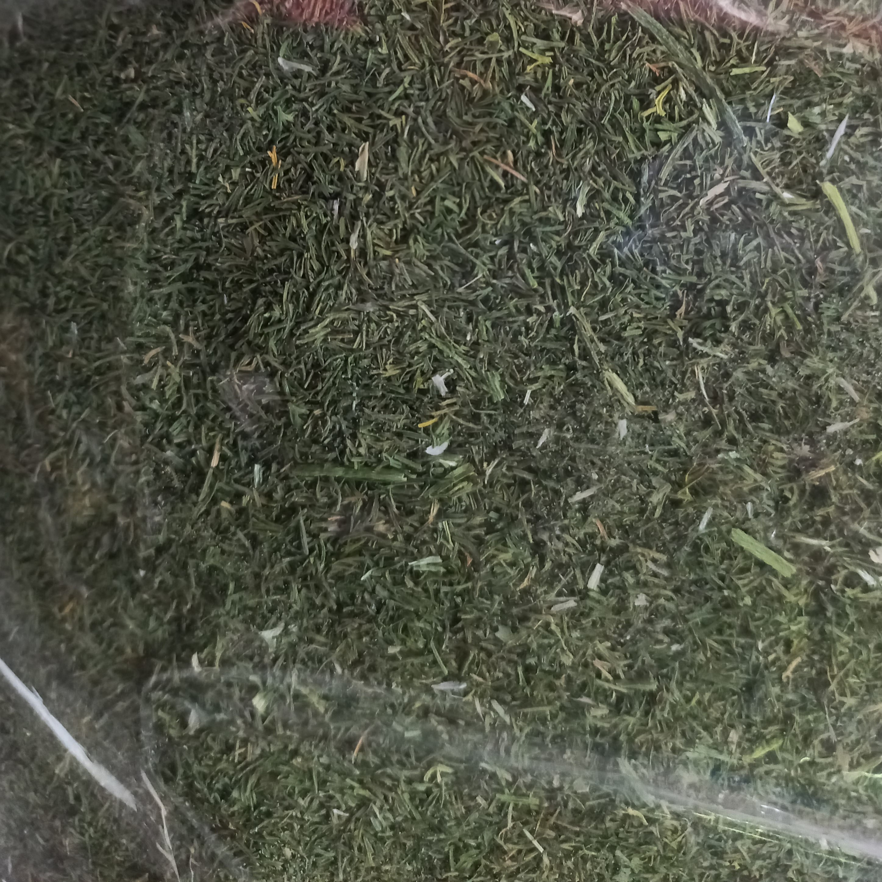 سبزی شوید خشک (120 گرم) امسالی درجه 1