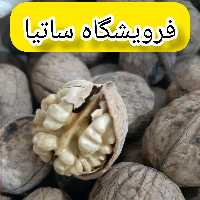 گردو پرچرب 1000 گرم