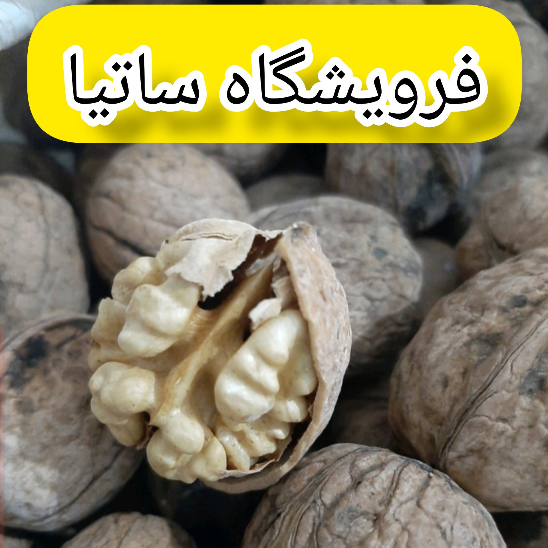 گردو پرچرب 1000 گرم