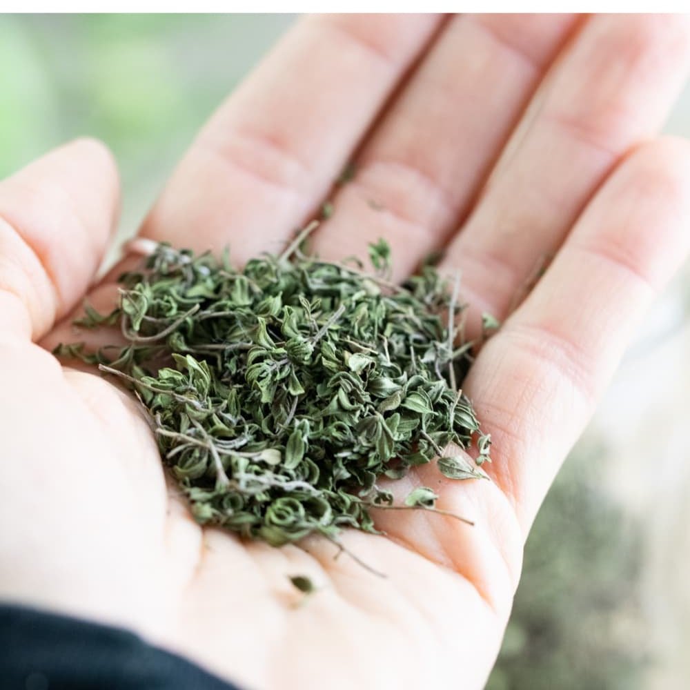 کاکوتی خشک (50 گرمی) آویش کوهی یا کهلیک اوتی