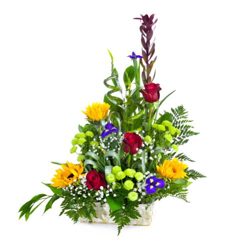 خرید و دانلود عکس Flower-Part-3 کد 17826 | پیک فاکس | Pic Fox