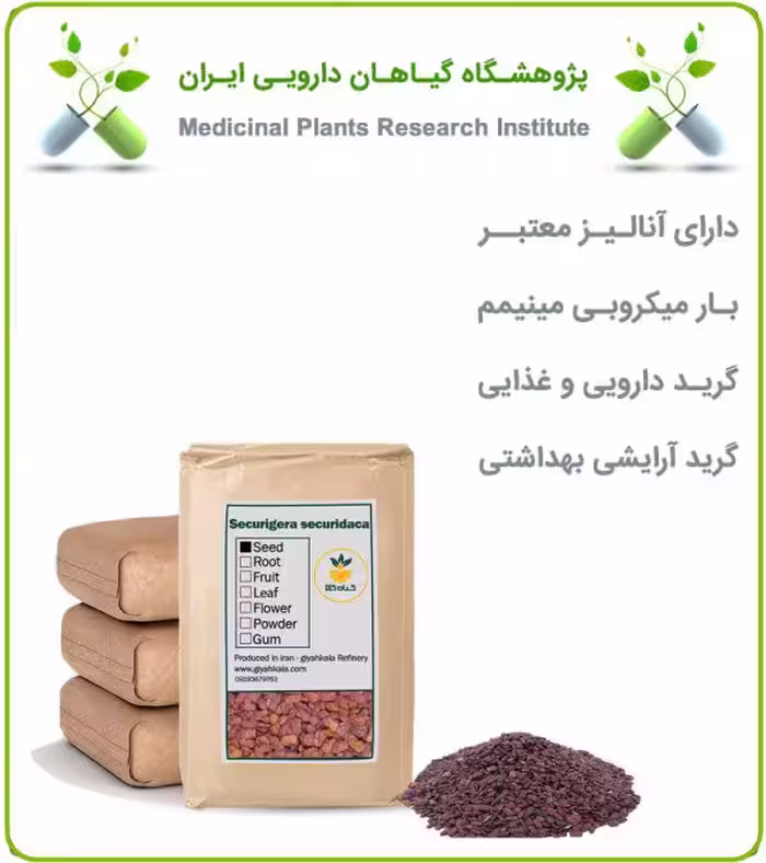 دانه عدس الملک خشک فله