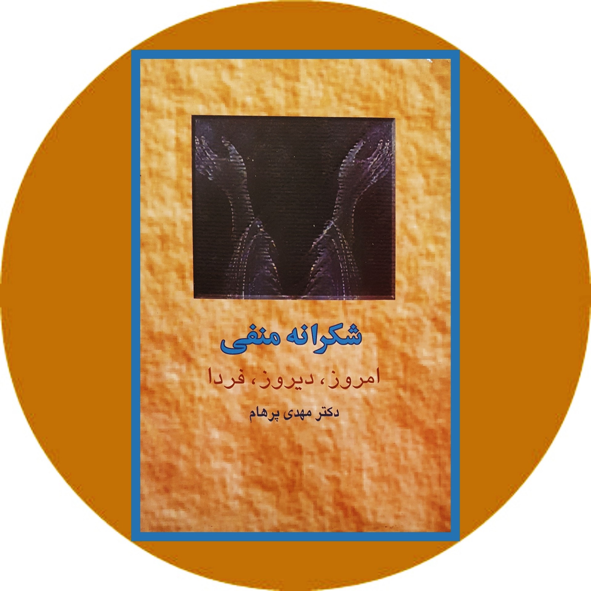 کتاب شکرانه منفی - خرید با تخفیف چهل درصد از کتاب دایره قهوه ای -