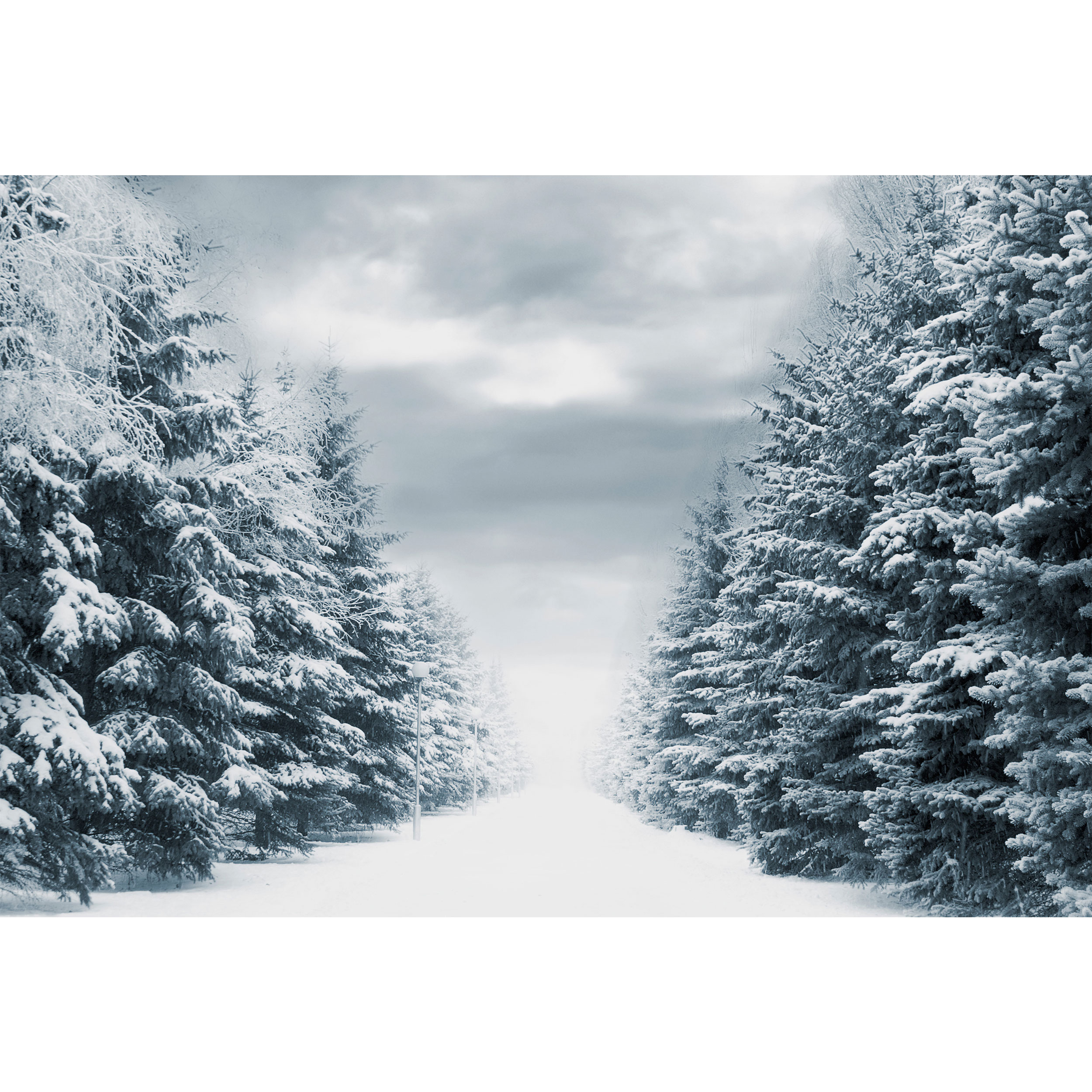 تابلو شاسی مدل منظره برف و درخت T6835